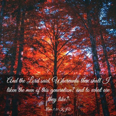 Picture 03 - Luke 7:31 KJV - And the Lord said, Whereunto then shall I liken - Bible Verse Picture