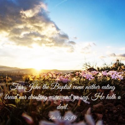 Picture 03 - Luke 7:33 KJV - For John the Baptist came neither eating bread - Bible Verse Picture