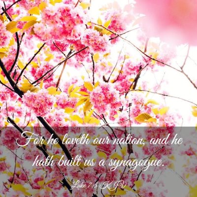 Picture 03 - Luke 7:5 KJV - For he loveth our nation, and he hath built us a - Bible Verse Picture