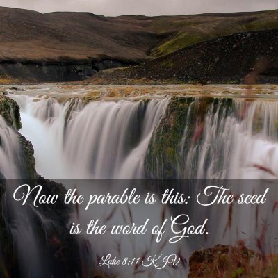 Picture 03 - Luke 8:11 KJV - Now the parable is this: The seed is the word of - Bible Verse Picture