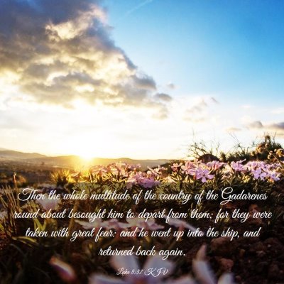 Picture 03 - Luke 8:37 KJV - Then the whole multitude of the country of the - Bible Verse Picture