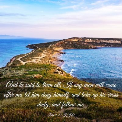 Picture 03 - Luke 9:23 KJV - And he said to them all, If any man will come - Bible Verse Picture
