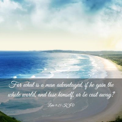 Picture 03 - Luke 9:25 KJV - For what is a man advantaged, if he gain the - Bible Verse Picture