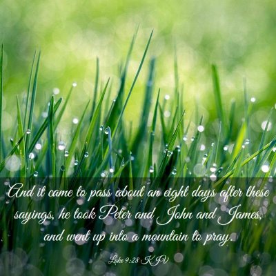 Picture 03 - Luke 9:28 KJV - And it came to pass about an eight days after - Bible Verse Picture