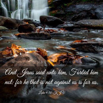 Picture 03 - Luke 9:50 KJV - And Jesus said unto him, Forbid him not: for he - Bible Verse Picture