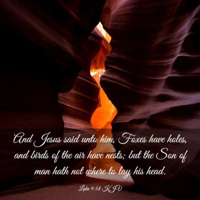 Picture 03 - Luke 9:58 KJV - And Jesus said unto him, Foxes have holes, and - Bible Verse Picture
