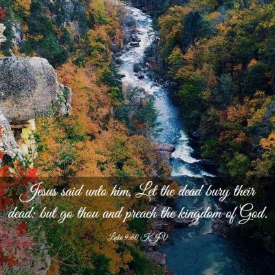 Picture 03 - Luke 9:60 KJV - Jesus said unto him, Let the dead bury their - Bible Verse Picture