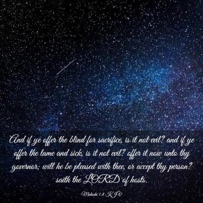 Picture 03 - Malachi 1:8 KJV - And if ye offer the blind for sacrifice, is it - Bible Verse Picture