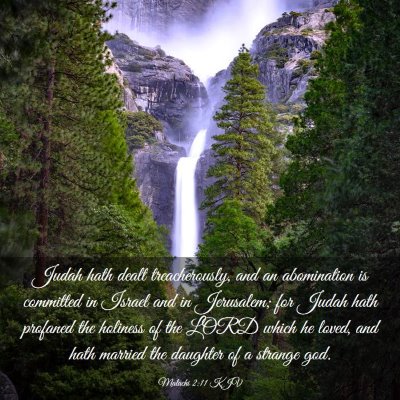 Picture 03 - Malachi 2:11 KJV - Judah hath dealt treacherously, and an - Bible Verse Picture