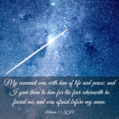 Picture 03 - Malachi 2:5 KJV - My covenant was with him of life and peace; and I - Bible Verse Picture