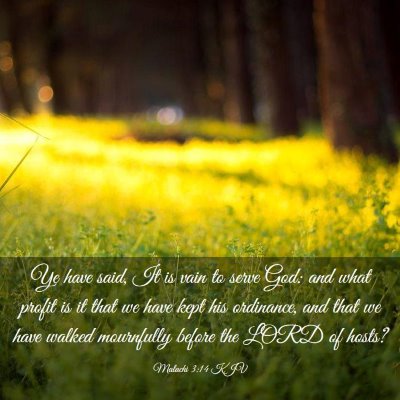 Picture 03 - Malachi 3:14 KJV - Ye have said, It is vain to serve God: and what - Bible Verse Picture