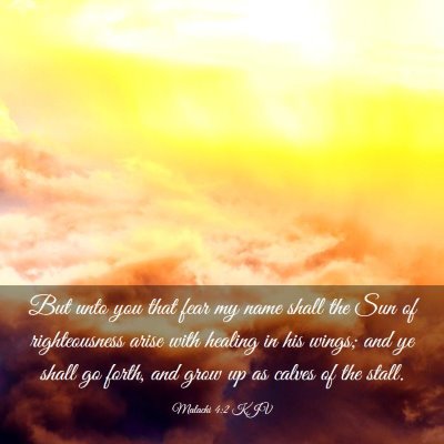 Picture 03 - Malachi 4:2 KJV - But unto you that fear my name shall the Sun of - Bible Verse Picture
