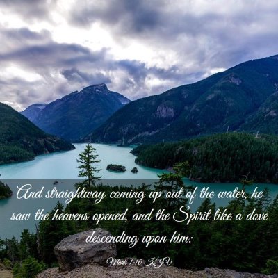 Picture 03 - Mark 1:10 KJV - And straightway coming up out of the water, he - Bible Verse Picture