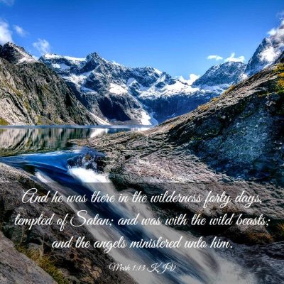 Picture 03 - Mark 1:13 KJV - And he was there in the wilderness forty days, - Bible Verse Picture