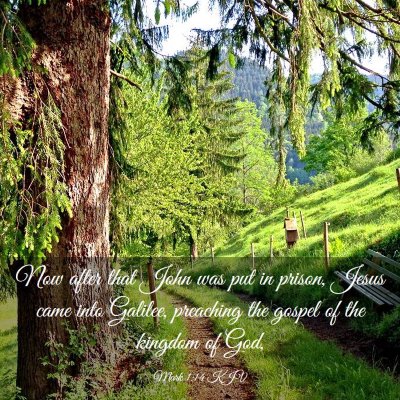 Picture 03 - Mark 1:14 KJV - Now after that John was put in prison, Jesus came - Bible Verse Picture