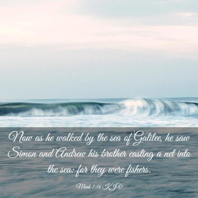 Picture 03 - Mark 1:16 KJV - Now as he walked by the sea of Galilee, he saw - Bible Verse Picture