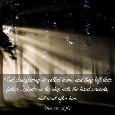 Picture 03 - Mark 1:20 KJV - And straightway he called them: and they left - Bible Verse Picture