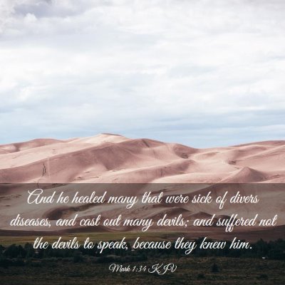 Picture 03 - Mark 1:34 KJV - And he healed many that were sick of divers - Bible Verse Picture