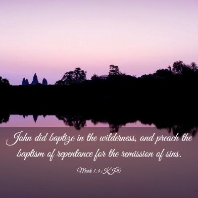 Picture 03 - Mark 1:4 KJV - John did baptize in the wilderness, and preach - Bible Verse Picture
