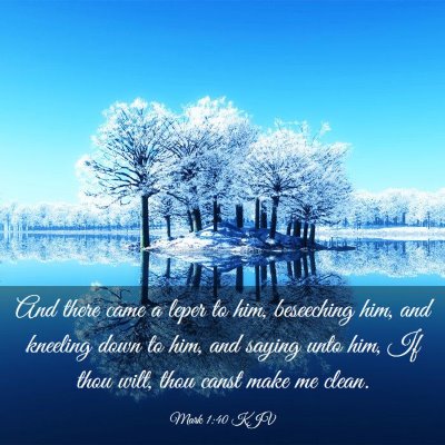 Picture 03 - Mark 1:40 KJV - And there came a leper to him, beseeching him, - Bible Verse Picture