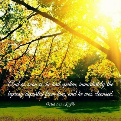 Picture 03 - Mark 1:42 KJV - And as soon as he had spoken, immediately the - Bible Verse Picture