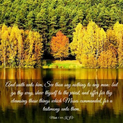 Picture 03 - Mark 1:44 KJV - And saith unto him, See thou say nothing to any - Bible Verse Picture