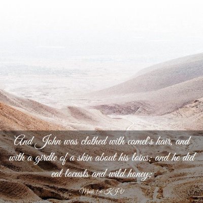 Picture 03 - Mark 1:6 KJV - And John was clothed with camel's hair, and with - Bible Verse Picture