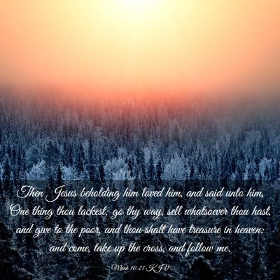 Picture 03 - Mark 10:21 KJV - Then Jesus beholding him loved him, and said unto - Bible Verse Picture