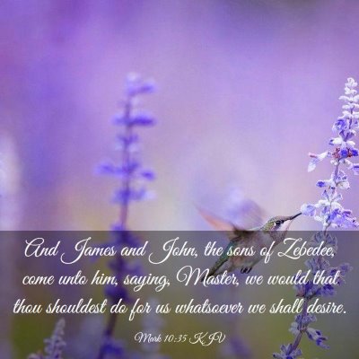 Picture 03 - Mark 10:35 KJV - And James and John, the sons of Zebedee, come - Bible Verse Picture