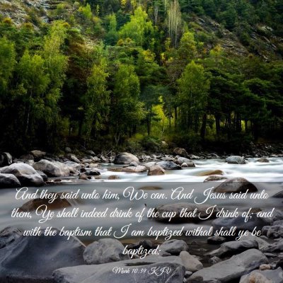 Picture 03 - Mark 10:39 KJV - And they said unto him, We can. And Jesus said - Bible Verse Picture