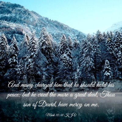 Picture 03 - Mark 10:48 KJV - And many charged him that he should hold his - Bible Verse Picture