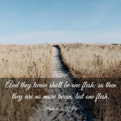 Picture 03 - Mark 10:8 KJV - And they twain shall be one flesh: so then they - Bible Verse Picture