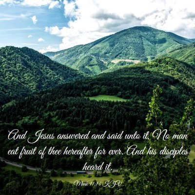 Picture 03 - Mark 11:14 KJV - And Jesus answered and said unto it, No man eat - Bible Verse Picture