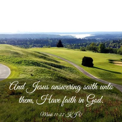 Picture 03 - Mark 11:22 KJV - And Jesus answering saith unto them, Have faith - Bible Verse Picture