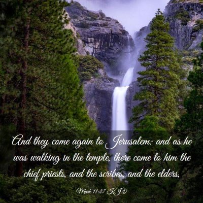 Picture 03 - Mark 11:27 KJV - And they come again to Jerusalem: and as he was - Bible Verse Picture