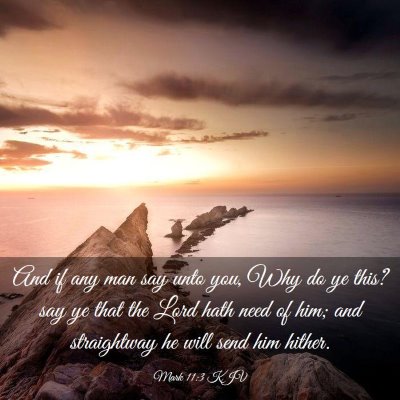 Picture 03 - Mark 11:3 KJV - And if any man say unto you, Why do ye this? say - Bible Verse Picture
