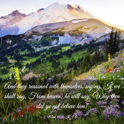 Picture 03 - Mark 11:31 KJV - And they reasoned with themselves, saying, If we - Bible Verse Picture
