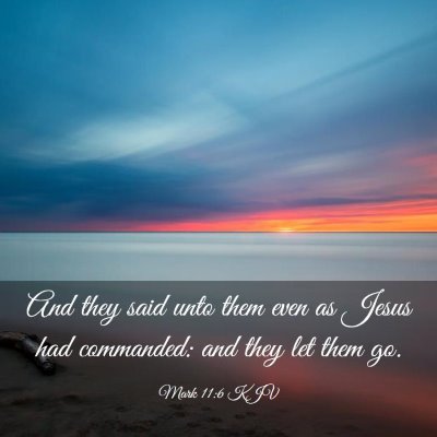 Picture 03 - Mark 11:6 KJV - And they said unto them even as Jesus had - Bible Verse Picture