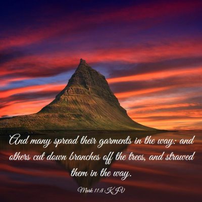 Picture 03 - Mark 11:8 KJV - And many spread their garments in the way: and - Bible Verse Picture