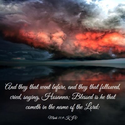 Picture 03 - Mark 11:9 KJV - And they that went before, and they that - Bible Verse Picture