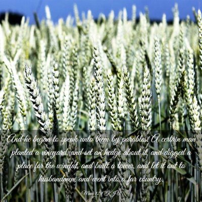 Picture 03 - Mark 12:1 KJV - And he began to speak unto them by parables. A - Bible Verse Picture