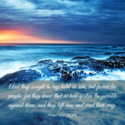 Picture 03 - Mark 12:12 KJV - And they sought to lay hold on him, but feared - Bible Verse Picture