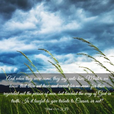 Picture 03 - Mark 12:14 KJV - And when they were come, they say unto him, - Bible Verse Picture