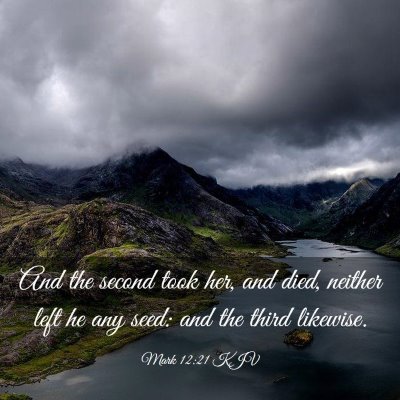 Picture 03 - Mark 12:21 KJV - And the second took her, and died, neither left - Bible Verse Picture