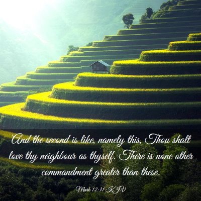 Picture 03 - Mark 12:31 KJV - And the second is like, namely this, Thou shalt - Bible Verse Picture