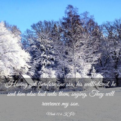 Picture 03 - Mark 12:6 KJV - Having yet therefore one son, his wellbeloved, he - Bible Verse Picture