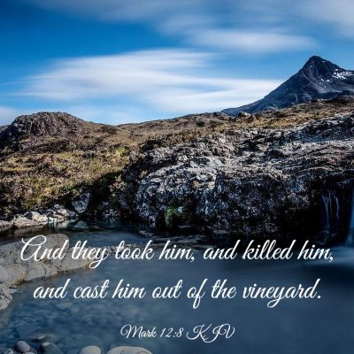 Picture 03 - Mark 12:8 KJV - And they took him, and killed him, and cast him - Bible Verse Picture