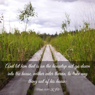 Picture 03 - Mark 13:15 KJV - And let him that is on the housetop not go down - Bible Verse Picture