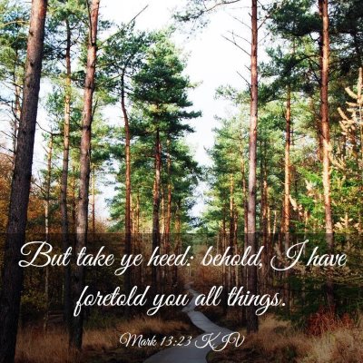 Picture 03 - Mark 13:23 KJV - But take ye heed: behold, I have foretold you all - Bible Verse Picture