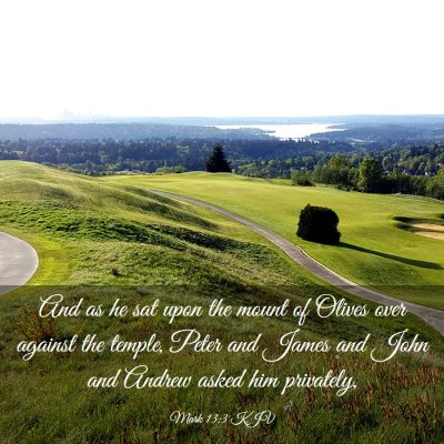 Picture 03 - Mark 13:3 KJV - And as he sat upon the mount of Olives over - Bible Verse Picture
